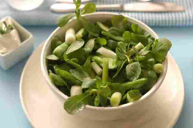 Semizotu Diyeti İle Zayıflama!